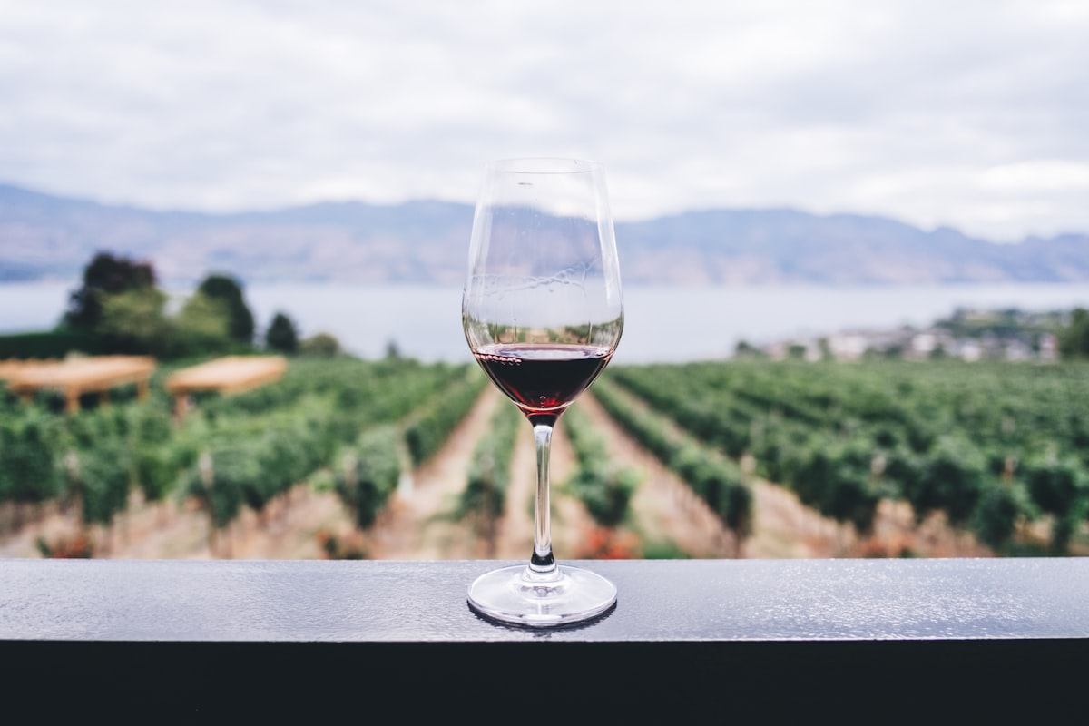 Cave à vins suisses, Seefeld, Zurich